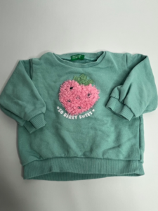 Pullover mit Beeren-Applikation