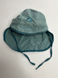 Sonnenhut
