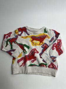 Pullover mit buntem Pferdeprint