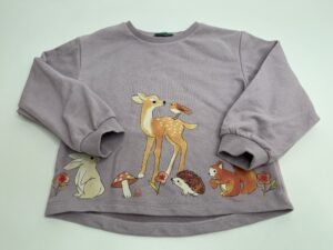 Pullover mit herbstlichem Tier-Motiv