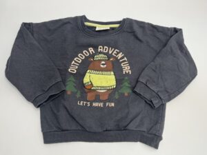 Pullover "Bär"